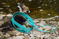 Laisse pour chiens HD 5 pieds