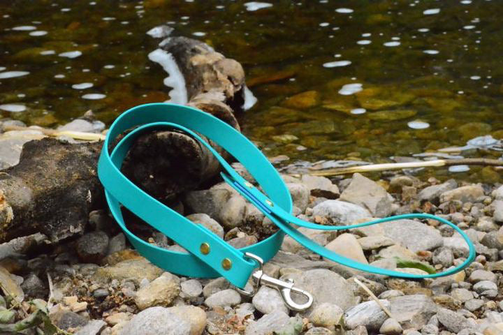 Laisse pour chiens HD 5 pieds